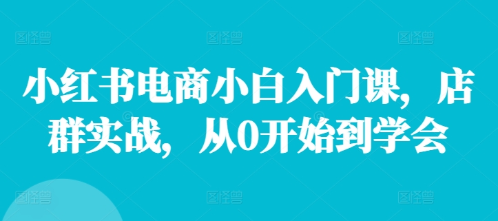 小红书电商小白入门课，店群实战，从0开始到学会|艾一资源