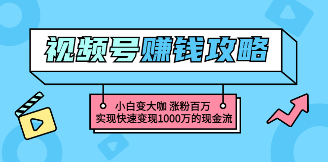 （3020期）玩转微信视频号赚钱：小白变大咖 涨粉百万 实现快速变现1000万的现金流|艾一资源