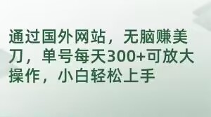 通过国外网站，无脑赚美刀，单号每天300+可放大操作，小白轻松上手【揭秘】|艾一资源