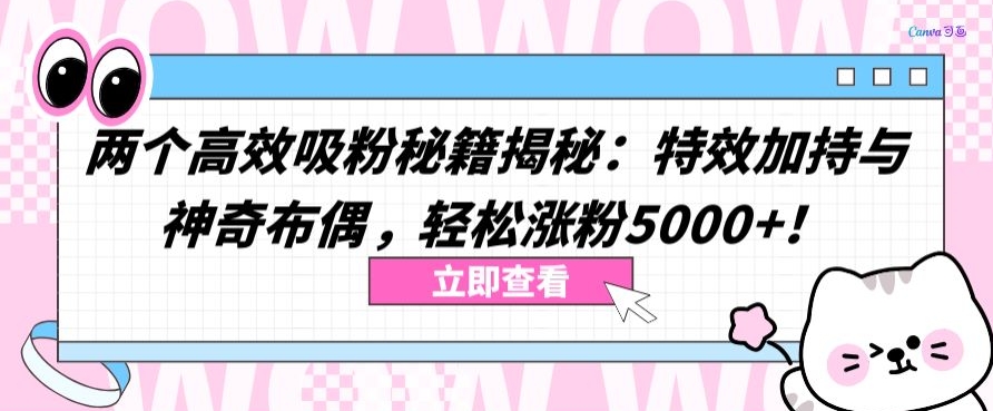 两个高效吸粉秘籍揭秘：特效加持与神奇布偶，轻松涨粉5000+【揭秘】|艾一资源