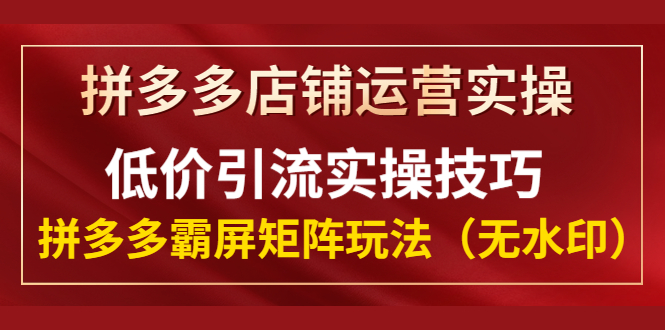 （1342期）拼多多店铺运营实操，低价引流实操技巧，拼多多霸屏矩阵玩法（无水印）|艾一资源