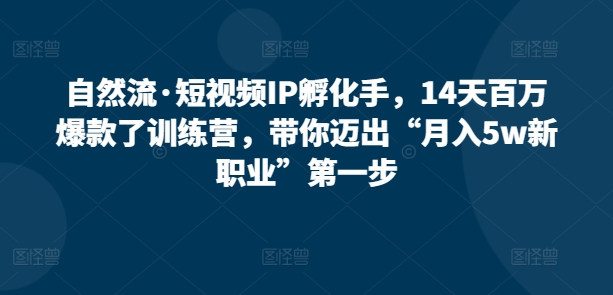 自然流·短视频IP孵化手，14天百万爆款了训练营，带你迈出“月入5w新职业”第一步|艾一资源