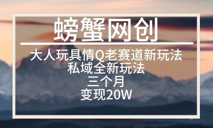 大人玩具情Q用品赛道私域全新玩法，三个月变现20W，老项目新思路【揭秘】|艾一资源