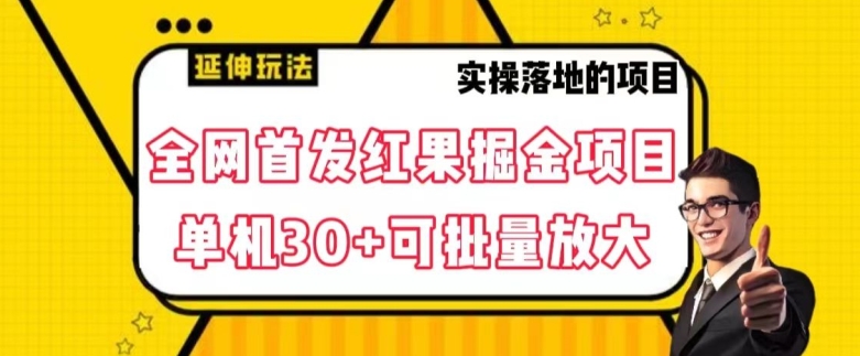 全网首发红果免费短剧掘金项目，单机30+可批量放大【揭秘】|艾一资源