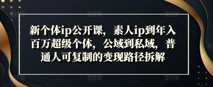 新个体ip公开课，素人ip到年入百万超级个体，公域到私域，普通人可复制的变现路径拆解|艾一资源