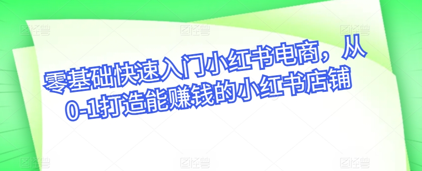 零基础快速入门小红书电商，从0-1打造能赚钱的小红书店铺|艾一资源