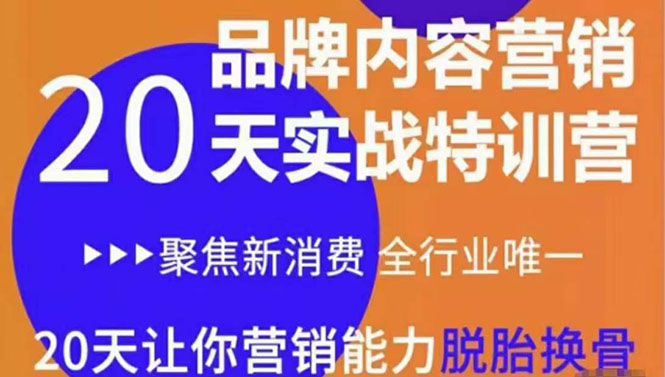 （3461期）《内容营销实操特训营》20天让你营销能力脱胎换骨（价值3999）|艾一资源