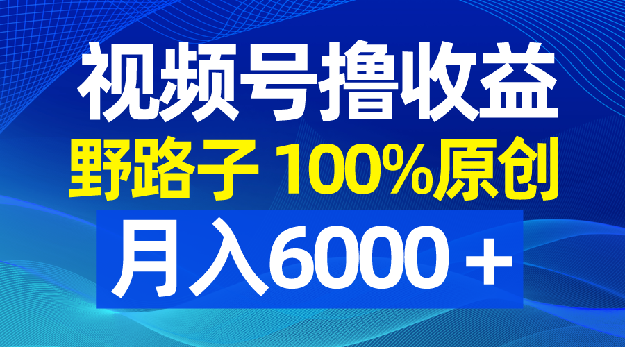 （8679期）视频号野路子撸收益，100%原创，条条爆款，月入6000＋|艾一资源