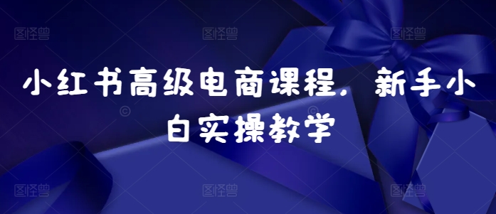 小红书高级电商课程，新手小白实操教学|艾一资源