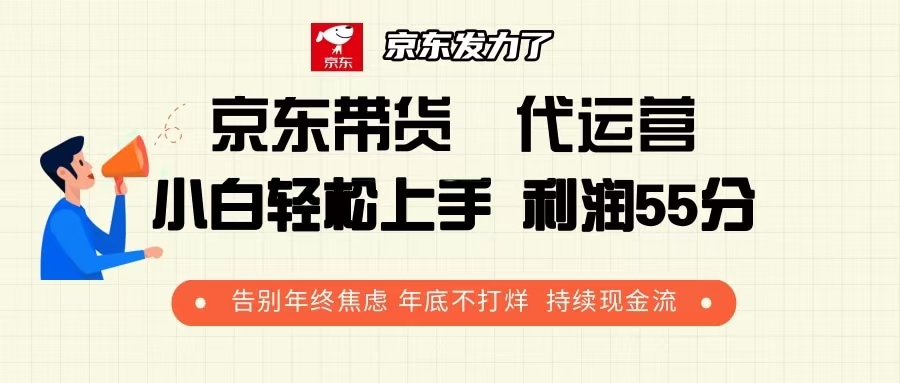 （13833期）京东带货 代运营 利润55分 告别年终焦虑 年底不打烊 持续现金流|艾一资源