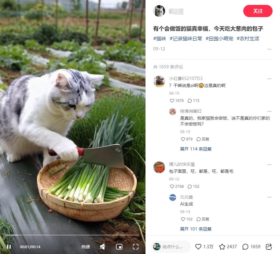 小红书上2个月涨粉2万+ 的猫咪做饭视频  五分钟教会你|艾一资源