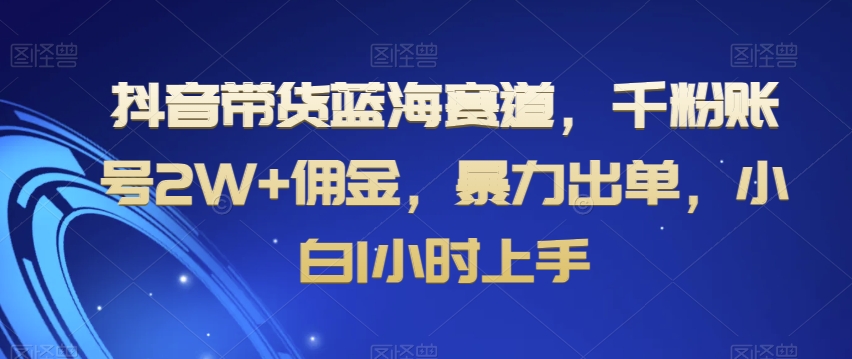 抖音带货蓝海赛道，千粉账号2W+佣金，暴力出单，小白1小时上手【揭秘】|艾一资源