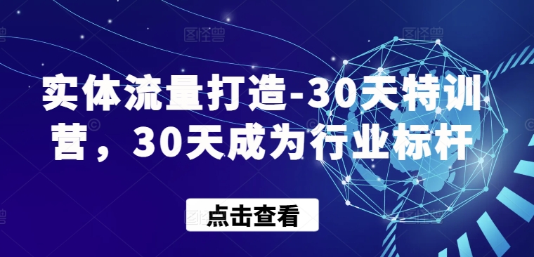 实体流量打造-30天特训营，30天成为行业标杆|艾一资源