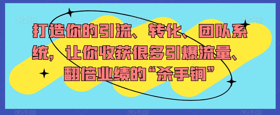 打造你的引流、转化、团队系统，让你收获很多引爆流量、翻倍业绩的“杀手锏”|艾一资源