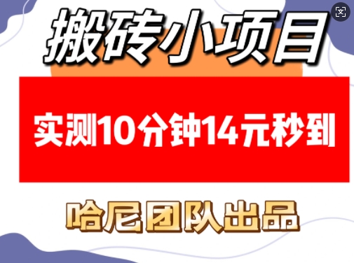 搬砖小项目，实测10分钟14元秒到，每天稳定几张(赠送必看稳定)|艾一资源