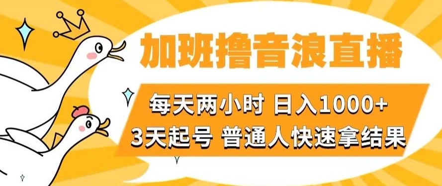 加班撸音浪直播，每天两小时，日入1000+，直播话术才3句，3天起号，普通人快速拿结果【揭秘】|艾一资源