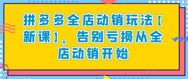 拼多多全店动销玩法【新课】，告别亏损从全店动销开始|艾一资源