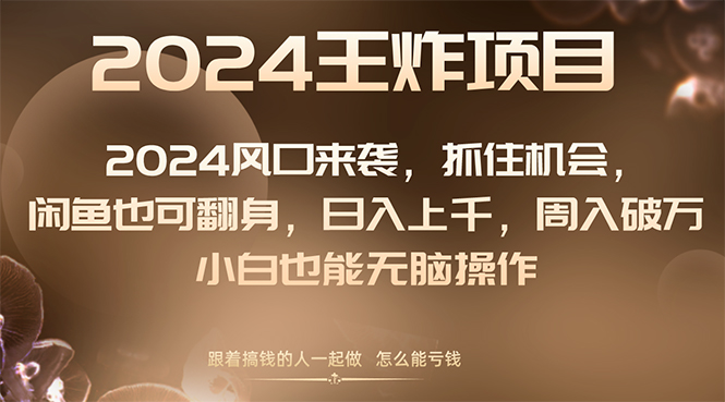 （8401期）2024风口项目来袭，抓住机会，闲鱼也可翻身，日入上千，周入破万，小白…|艾一资源