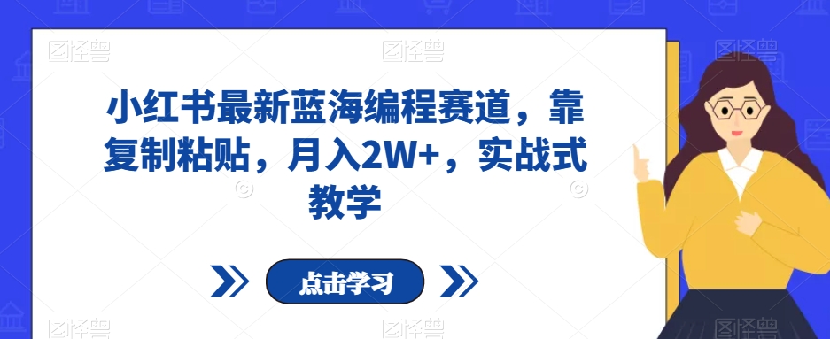 小红书最新蓝海编程赛道，靠复制粘贴，月入2W+，实战式教学【揭秘】|艾一资源