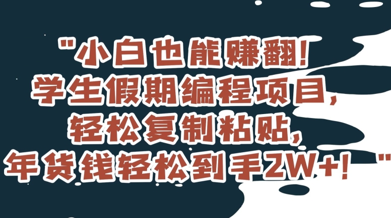 小白也能赚翻！学生假期编程项目，轻松复制粘贴，年货钱轻松到手2W+【揭秘】|艾一资源