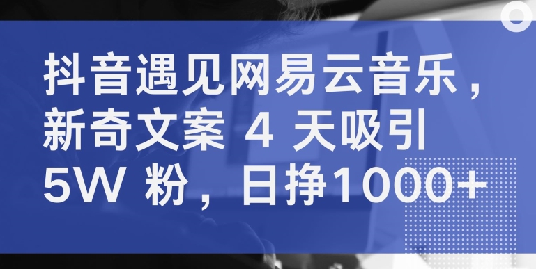 抖音遇见网易云音乐，新奇文案 4 天吸引 5W 粉，日挣1000+【揭秘】|艾一资源