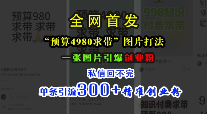 小红书“预算4980带我飞”图片打法，一张图片引爆创业粉，私信回不完，单条引流300+精准创业粉|艾一资源