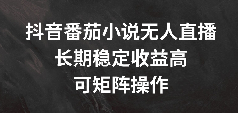 抖音番茄小说无人直播，长期稳定收益高，可矩阵操作【揭秘】|艾一资源