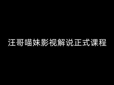 汪哥影视解说正式课程：剪映/PR教学/视解说剪辑5大黄金法则/全流程剪辑7把利器等等|艾一资源