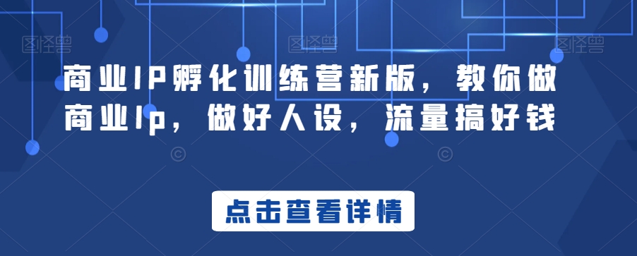 商业IP孵化训练营新版，教你做商业Ip，做好人设，流量搞好钱|艾一资源