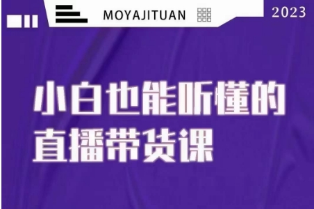 大威本威·能听懂的直播带货课，小白也能听懂，20节完整|艾一资源