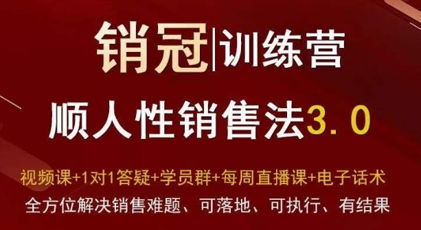 爆款！销冠训练营3.0之顺人性销售法，全方位解决销售难题、可落地、可执行、有结果|艾一资源