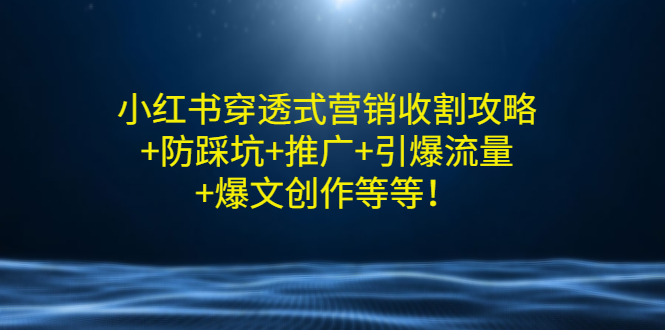 （2907期）小红书穿透式营销收割攻略+防踩坑+推广+引爆流量+爆文创作等等！|艾一资源