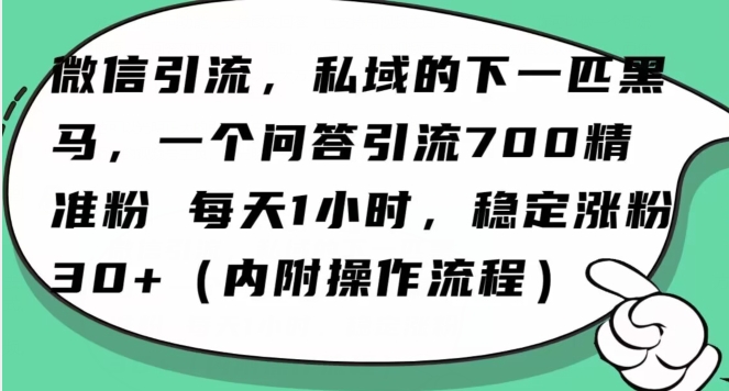 怎么搞精准创业粉？微信新赛道，每天一小时，利用Ai一个问答日引100精准粉|艾一资源