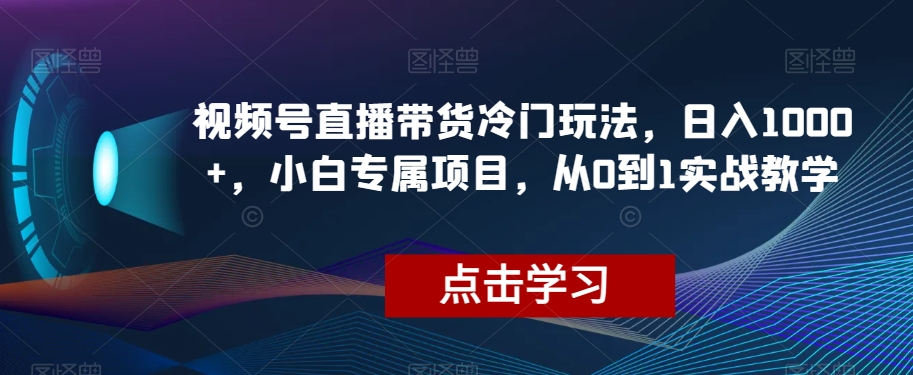 视频号直播带货冷门玩法，日入1000+，小白专属项目，从0到1实战教学【揭秘】|艾一资源