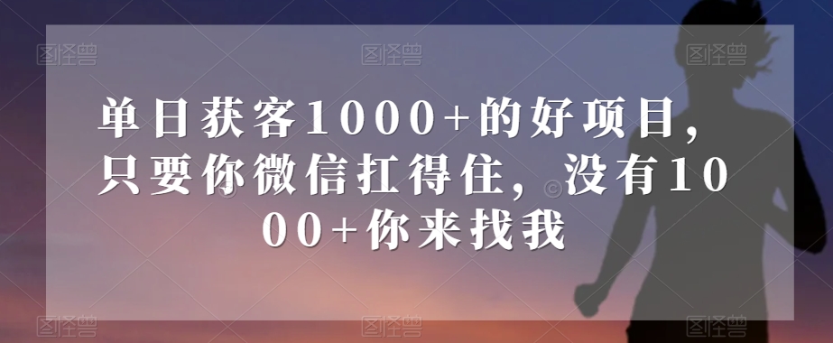 单日获客1000+的好项目，只要你微信扛得住，没有1000+你来找我【揭秘】|艾一资源