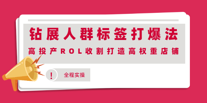 （2018期）钻展人群标签打爆法，高投产ROL收割打造高权重店铺(全程实操)