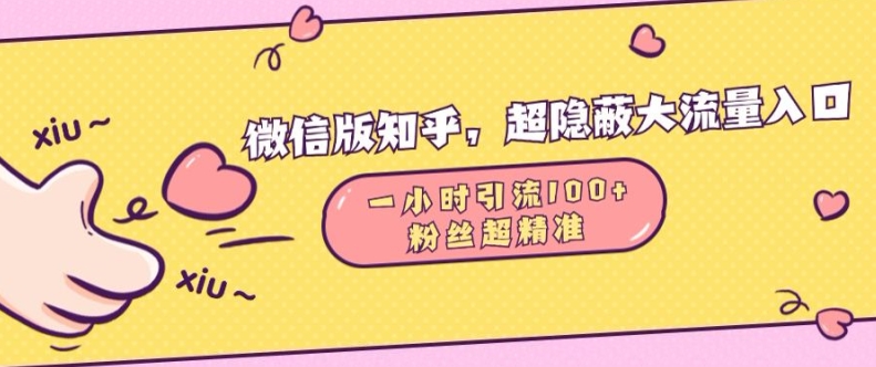 微信版知乎，超隐蔽流量入口1小时引流100人，粉丝质量超高【揭秘】|艾一资源