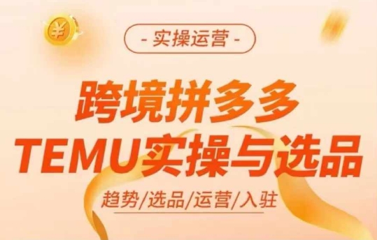 跨境拼多多TEMU实操与选品，多多temu跨境选品运营实操|艾一资源