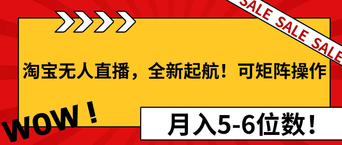 （13946期）淘宝无人直播，全新起航！可矩阵操作，月入5-6位数！|艾一资源