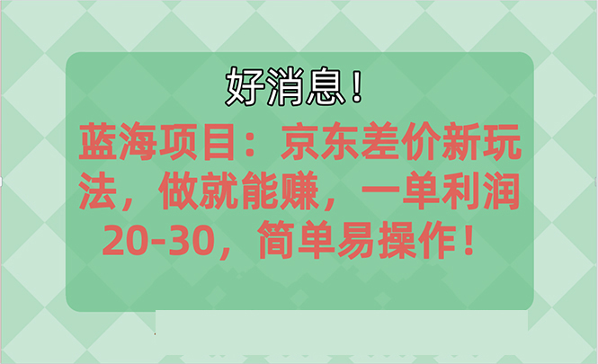 （10989期）越早知道越能赚到钱的蓝海项目：京东大平台操作，一单利润20-30，简单…|艾一资源