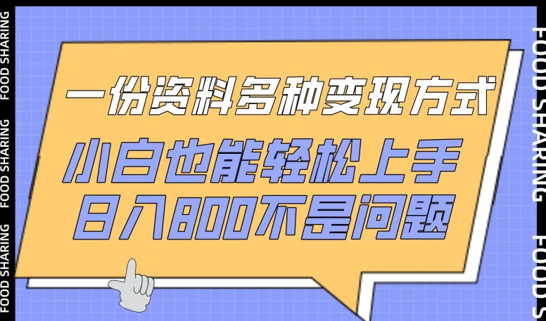 一份资料多种变现方式，小白也能轻松上手，日入800不是问题【揭秘】|艾一资源