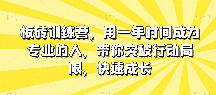 板砖训练营，用一年时间成为专业的人，带你突破行动局限，快速成长|艾一资源