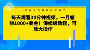 每天观看30分钟视频，一月躺赚1000+美金！保姆级教程，可放大操作【揭秘】|艾一资源