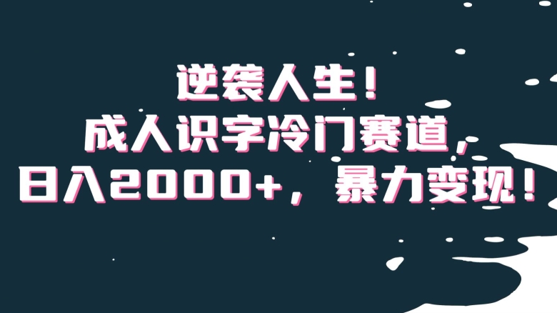 逆袭人生！成人识字冷门赛道，日入2000+，暴力变现！【揭秘】|艾一资源