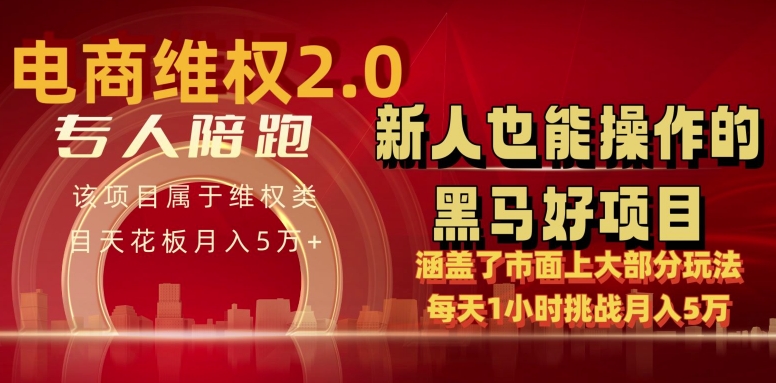 电商维权 4.0 如何做到月入 5 万+每天 1 小时新人也能快速上手【仅揭秘】|艾一资源