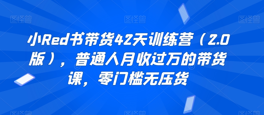 小Red书带货42天训练营（2.0版），普通人月收过万的带货课，零门槛无压货|艾一资源