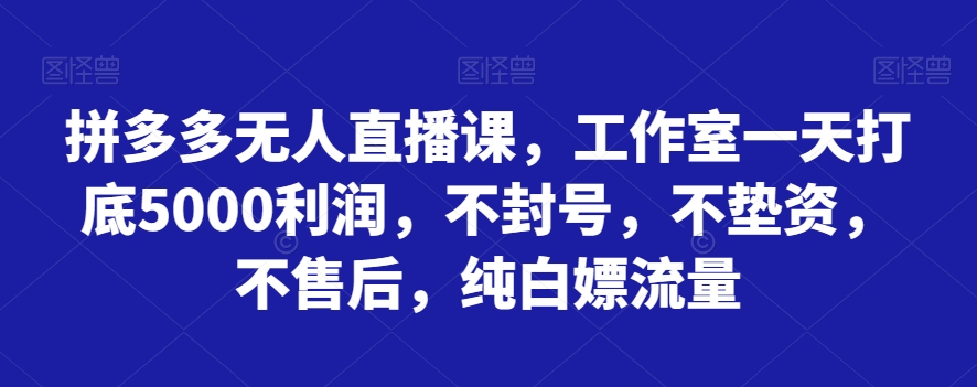 拼多多无人直播课，工作室一天打底5000利润，不封号，不垫资，不售后，纯白嫖流量|艾一资源