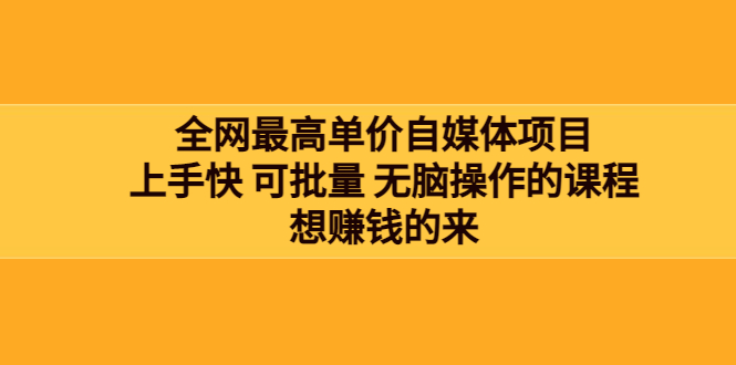 （3557期）全网最单高价自媒体项目：上手快 可批量 无脑操作的课程，想赚钱的来|艾一资源