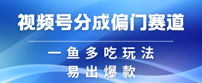 视频号创作者分成计划偏门类目，容易爆流，实拍内容简单易做【揭秘】|艾一资源