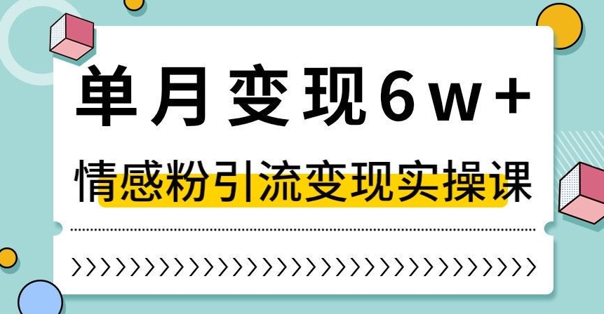 单月变现6W+，抖音情感粉引流变现实操课，小白可做，轻松上手，独家赛道【揭秘】|艾一资源